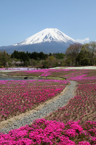 日本十大观光景点富士山最有人气.jpg