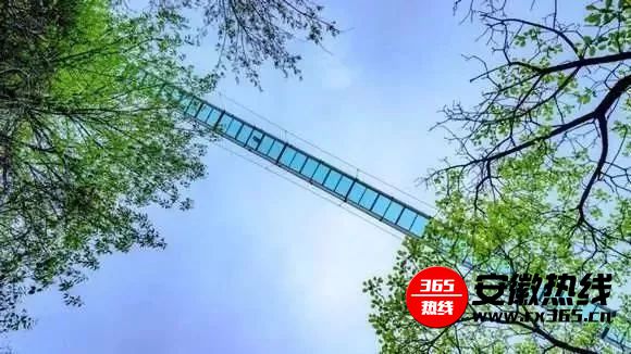六安这座全省最长玻璃索桥昨天开放了！高108米，你敢挑战吗？