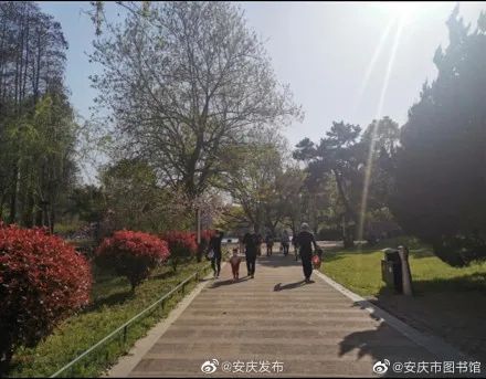安庆菱湖公园恢复开放