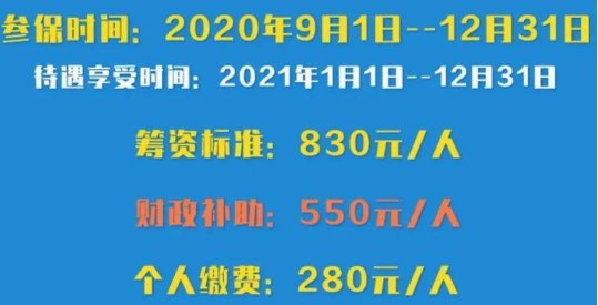 2020合肥居民医保缴费开始了吗？